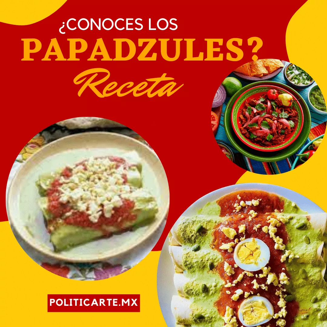 Conoces los papadzules? Te contamos la historia y la receta de este  delicioso platillo yucateco