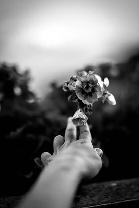 Mano y fotografía